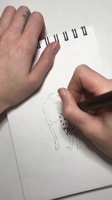 Нарисовала гепарда со второго раза 😅 смотреть онлайн
