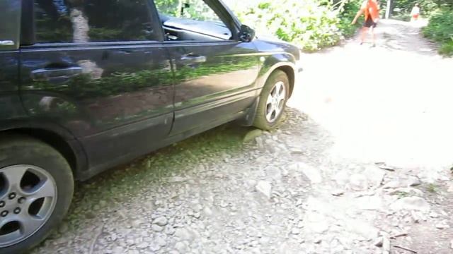 Абхазия_2010_альпийские луга_10