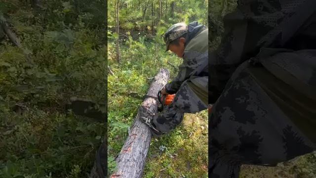 12 августа 2023 г.