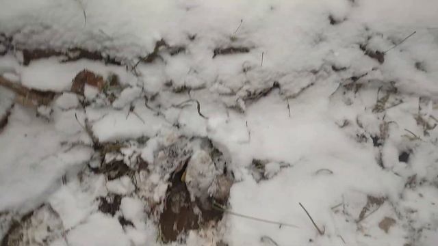 Дорога с приключениями на УГРЮМ-озеро. По первому снегу.