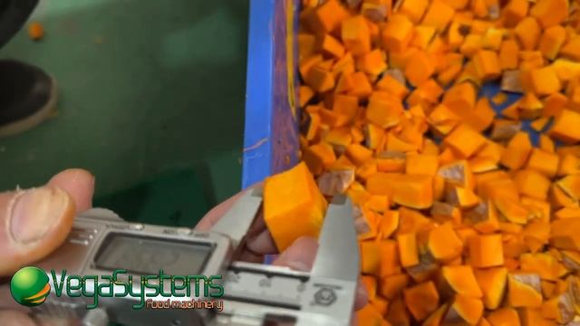 Овощерезка промышленная Vega Dicer H1500 нарезка овощей кубиками, бруском смотреть онлайн