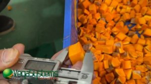 Овощерезка промышленная Vega Dicer H1500 нарезка овощей кубиками, бруском