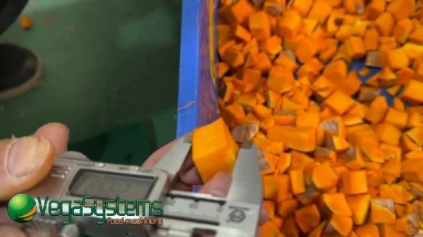 Овощерезка промышленная Vega Dicer H1500 нарезка овощей кубиками, бруском