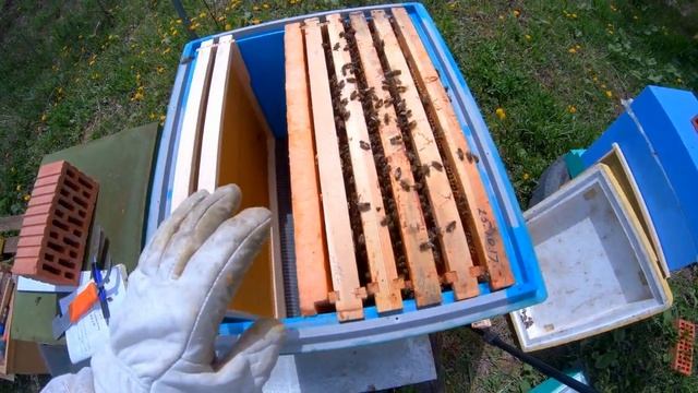 Расширенире на 2 корпуса Карника