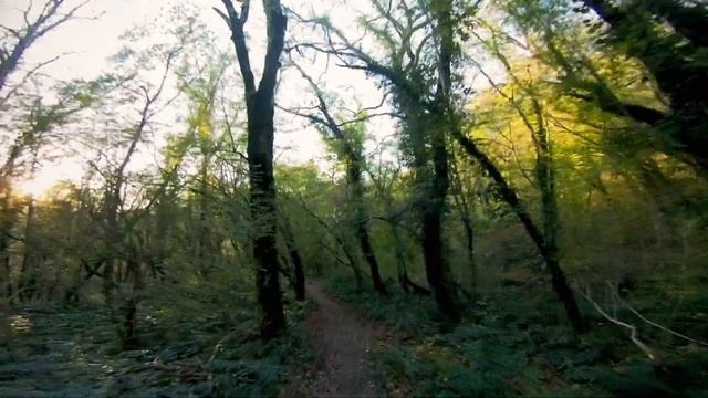 Ахун. Полёт шмеля. смотреть онлайн