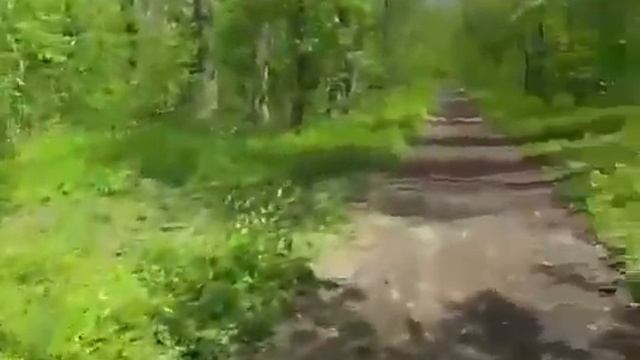 вход на майскую поляну 1