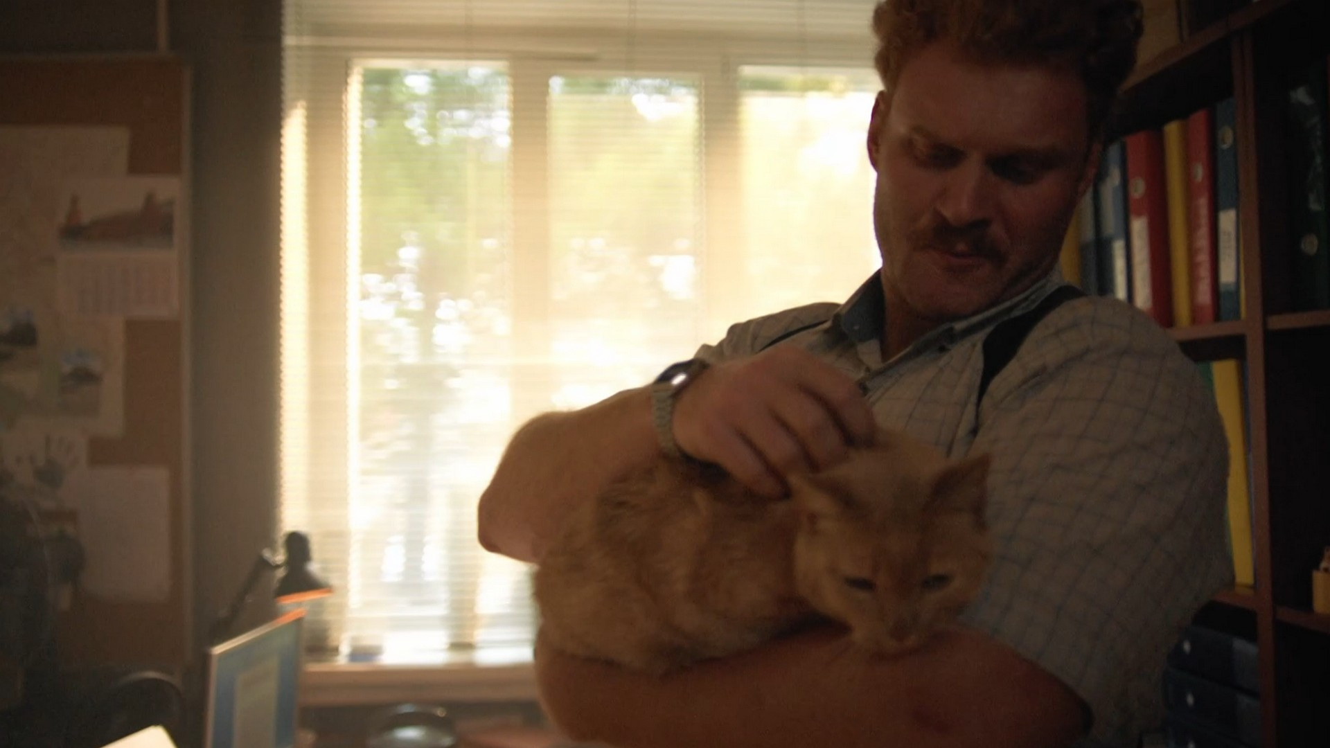 На страже пляжа, 2 сезон, 7 серия смотреть онлайн