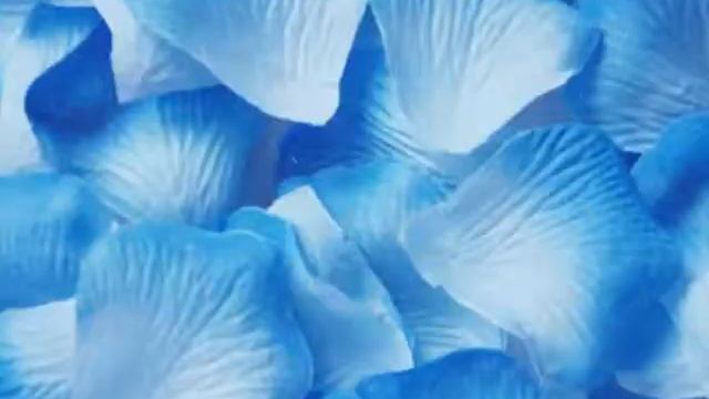 Верь в чудеса