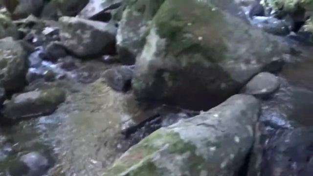 ЗЛАТНИТЕ МОСТОВЕ - ВИТОША (2)