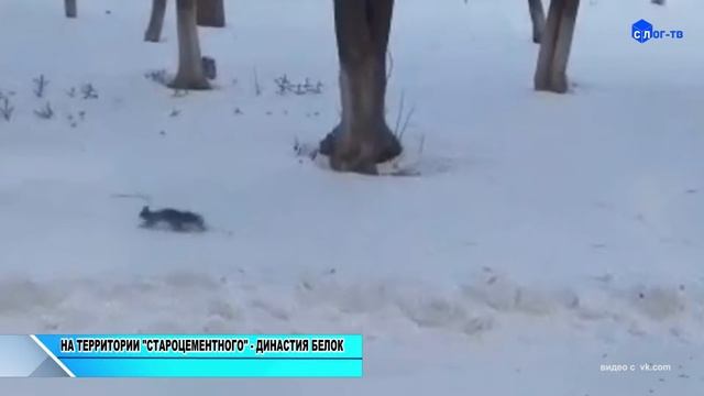 НА ТЕРРИТОРИИ  