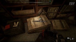 Лучшее оружие и броня в Сталкер 2: Сердце Чернобыля! (S.T.