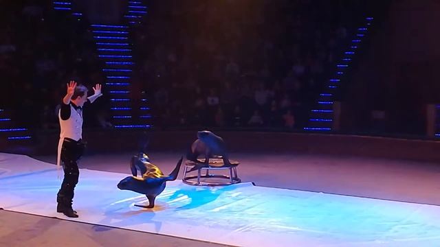 7 января 2019 г.