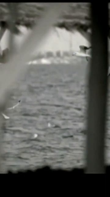 Крутейший трек Гуфа #short #rap #гуф #россия #украина