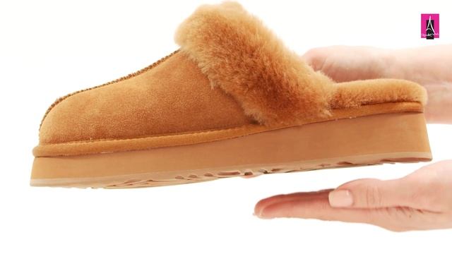 4247008 Видеообзор I Женские шлепанцы TENDANCE смотреть онлайн