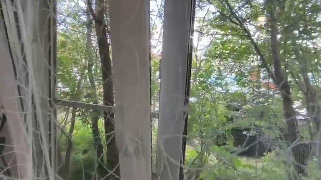 Январская смотреть онлайн