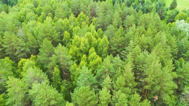 DJI MINI 4 PRO  RELAX  