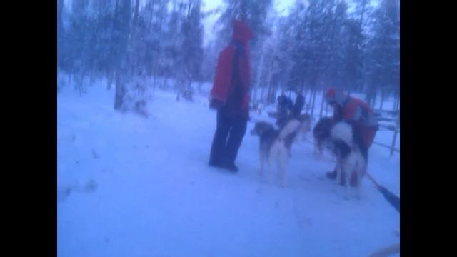 Новый год 2011 в Юллясе