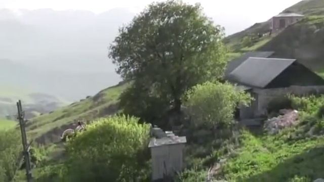 М . Ах1мадов, читает Хиромагомед Хир-ов смотреть онлайн