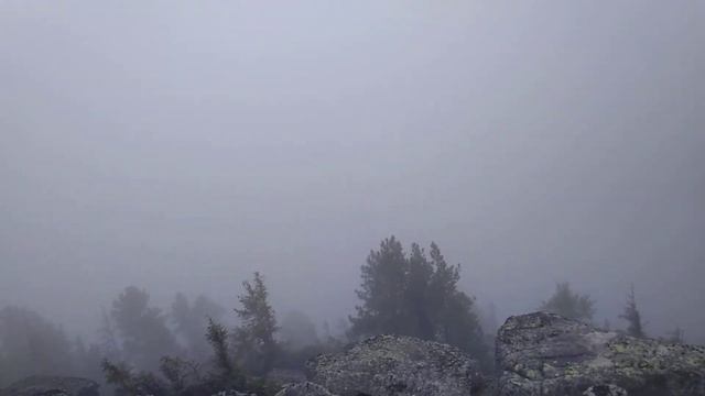 Вершина гори Ротило.Частина друга. 20.06.21р.Франківщина.