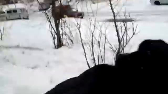 Пытаемся паркурить!!! смотреть онлайн