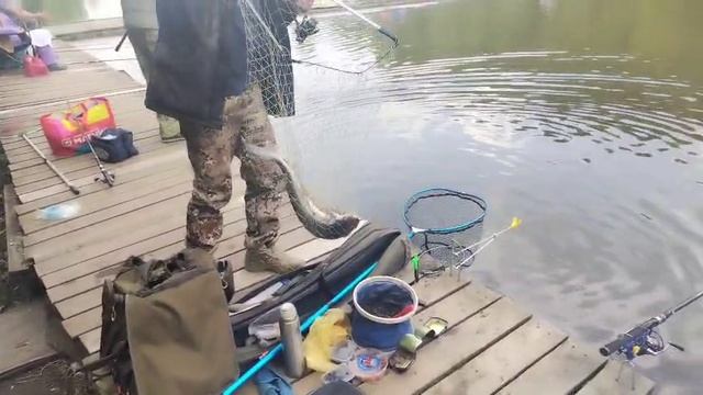 Осетришка Основной водоем смотреть онлайн
