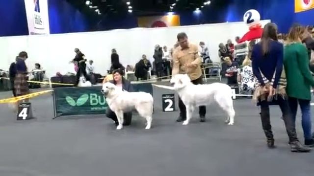 Выставка "Сезон в Нижнем 2015" смотреть онлайн