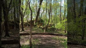 Гора Шапка. Мостовской район, Краснодарского края.