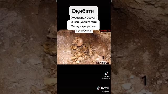 окибати инсон дар кабр