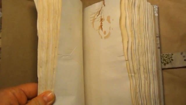 страницы кулинарного блокнота смотреть онлайн