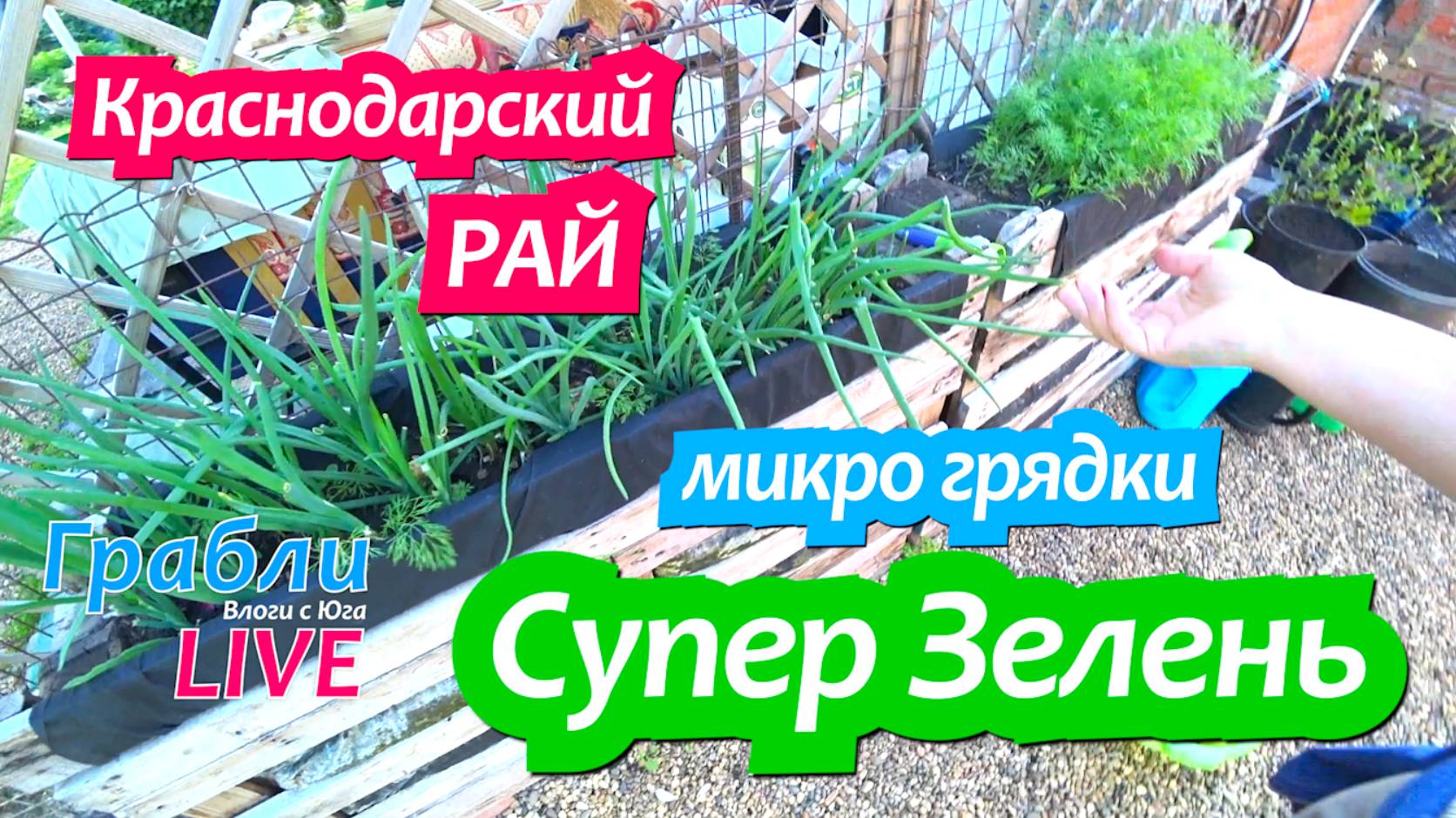 908 серия 16 мая 2025 Супер зелень на микро грядках. Украшаем сад. Жизнь в своем доме на Юге смотреть онлайн