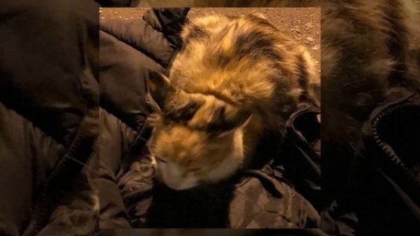 lyaz - Replay (speed up)