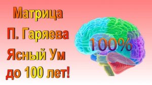 МАТРИЦА П. ГАРЯЕВА ЯСНЫЙ УМ ДО 100 ЛЕТ / ЗДОРОВЬЕ ВАШЕГО МОЗГА /