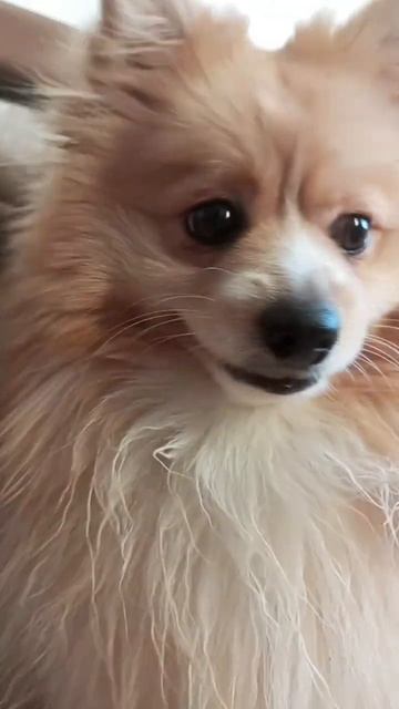 24 января 2024 г.