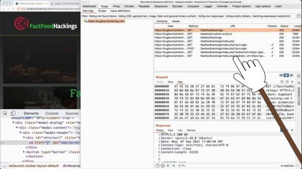 29. Discovering Bugs in Hidden Elements