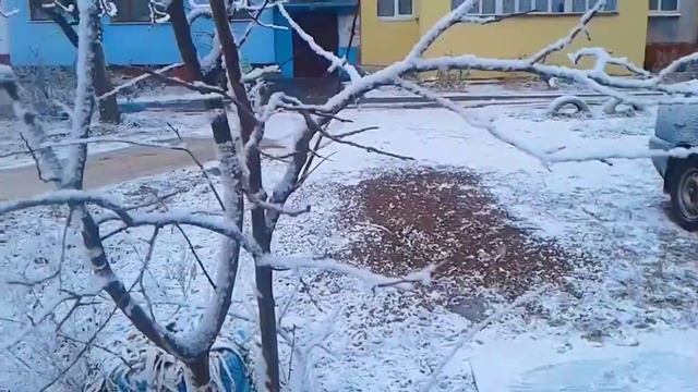 Снег кружится,летает,летает...А мы поставили ёлку. смотреть онлайн