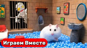 Умный Хомяк сбегает из Египетской пирамиды 🐹 Тайны и испытания с ЛОВУШКАМИ ! Видео для детей