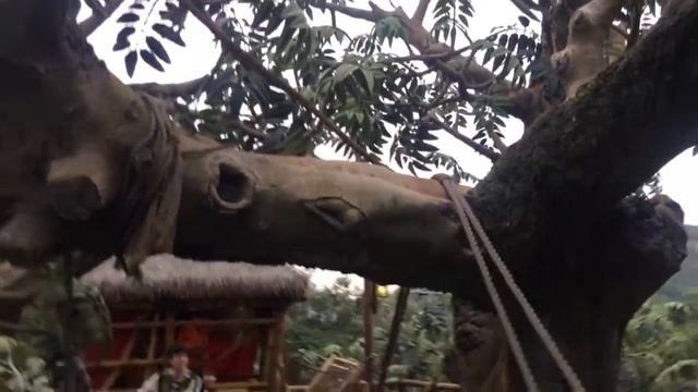 Дисней Ленд ГонКонг смотреть онлайн