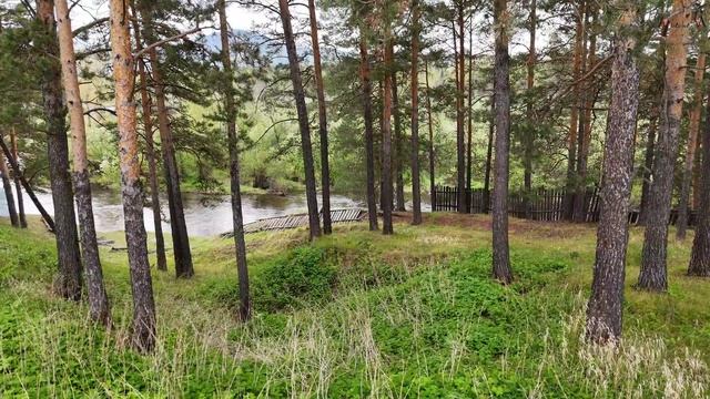Продаётся потрясающий участок в поселке Уфимка смотреть онлайн