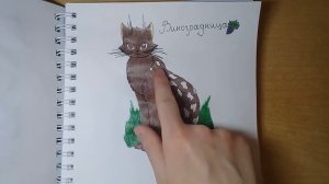 Рисунки Котов-Воителей #7