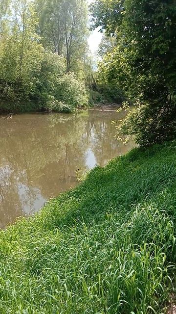 РЫБАЛКА МЫ СНОВА НА НОЛЬКЕ! РЕКА МАЛАЯ КОКШАГА! 17.05.2025 ГОДА! ЧАСТЬ-1 #fishing #рыбалка смотреть онлайн