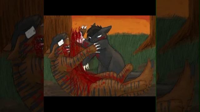 доброта у КВ смотреть онлайн