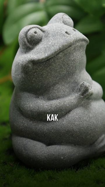 Феномен жизни после смерти 🐸💚🧪 смотреть онлайн