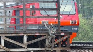 Школьников-зацеперов убило током на крыше электрички в Красноярском крае