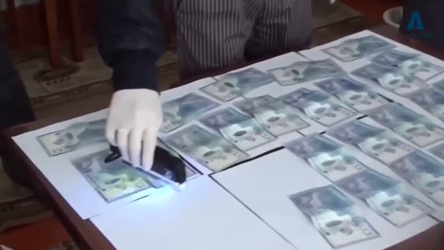 СЫБАЙЛАС ЖЕМҚОРЛЫҚ – ТЕРІС ҚҰБЫЛЫС