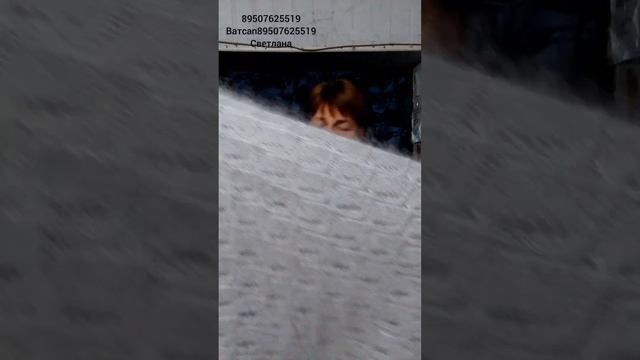 15 сентября 2024 г. смотреть онлайн