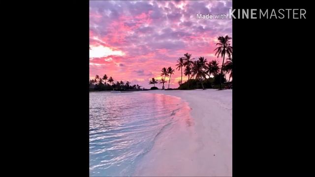 Обои ( извените что так мало )