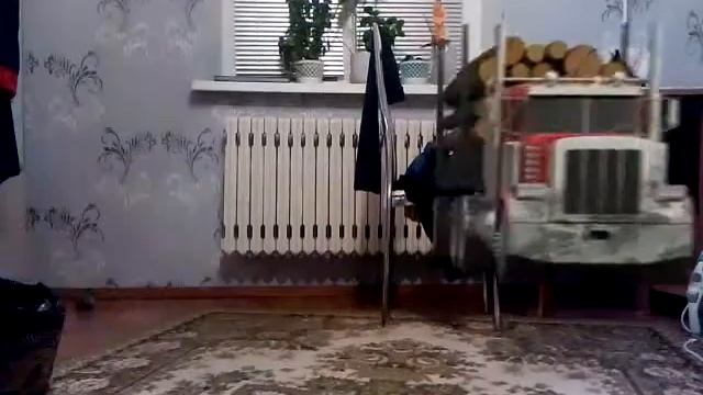 В моём доме фура