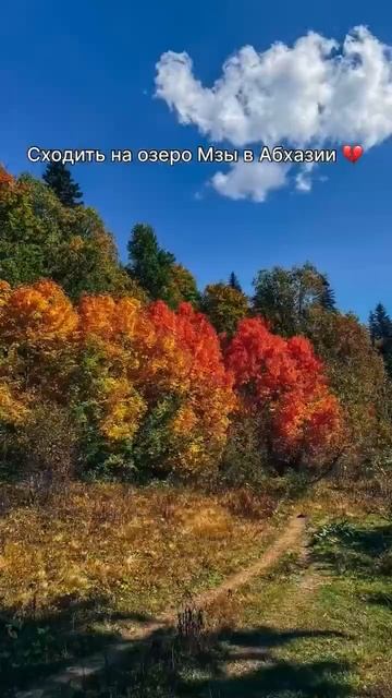 Горы Абхазии. #горныеозера #горы #топ #travel