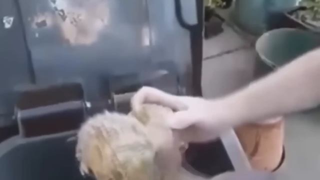 Страшные Видео МЕГА Топ №6 смотреть онлайн