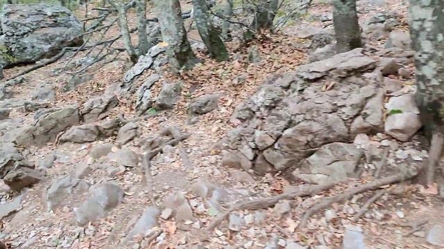Спуск с айпетри смотреть онлайн